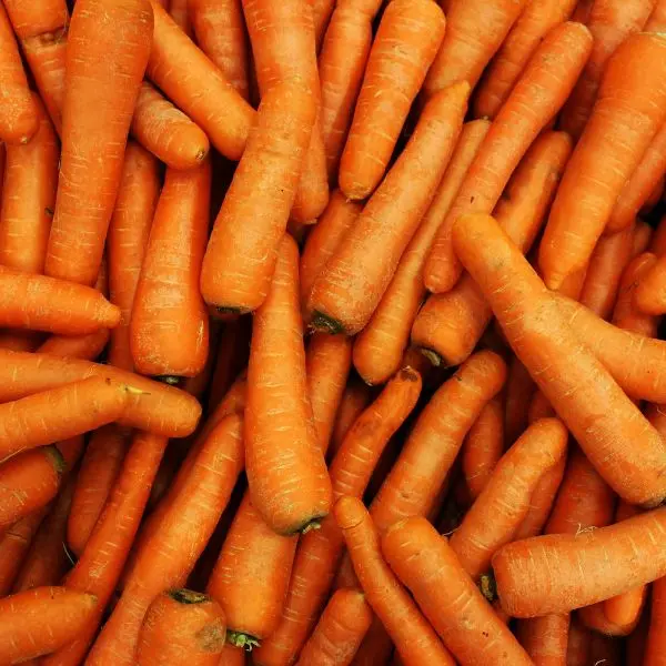 Vegeibro Carrot.webp