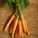 Carrot VeggeiBro.webp