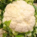VeggieBro Sasti sabji Gobhi.webp