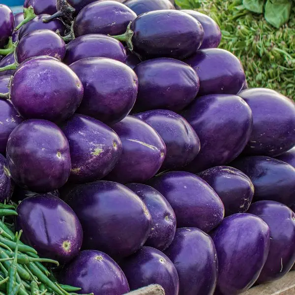 VeggieBro Brinjal (बैंगन - Baingan.webp
