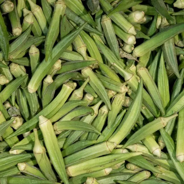 Ladyfinger Bhindi (भिंडी).webp
