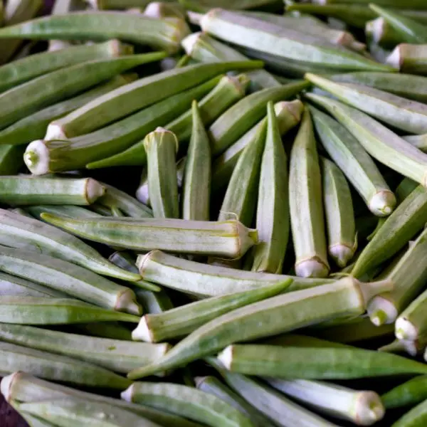 VeggieBro Ladyfinger Bhindi भिंडी.webp