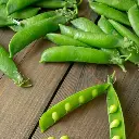 VeggieBro Peas (मटर - Matar).webp