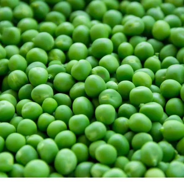 Peas मटर - Matar.webp