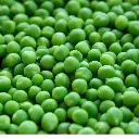 Peas मटर - Matar.webp