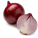 VeggieBro Onion (प्याज - Pyaz).webp