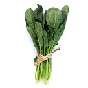 Spinach (पालक - Palak).webp