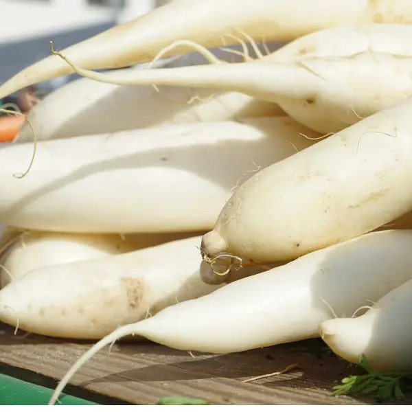 Radish (मूली - Mooli).webp