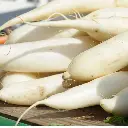 Radish (मूली - Mooli).webp