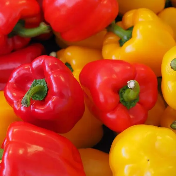 Fresh Capsicum (शिमला मिर्च - Shimla Mirch).webp