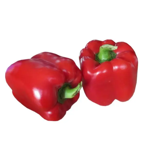 Capsicum (शिमला मिर्च - Shimla Mirch).webp