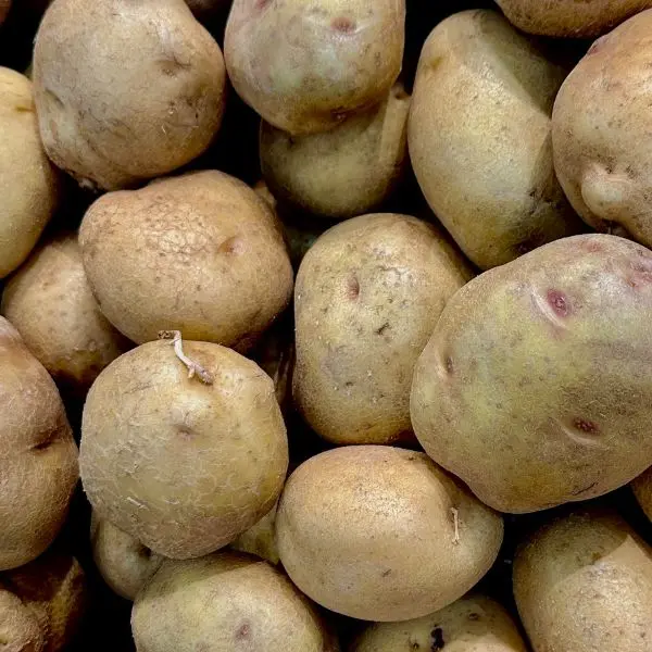 VeggieBro Potato (आलू - Aloo).webp