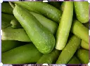 VeggieBro Bottle Gourd Lauki.webp