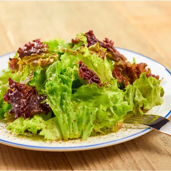 Lettuce (सलाद पत्ता - Salad Patta).webp