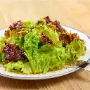 Lettuce (सलाद पत्ता - Salad Patta).webp