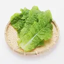 Lettuce सलाद पत्ता - Salad Patta.webp
