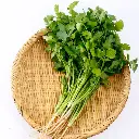 VeggieBro Coriander धनिया - Dhaniya.webp