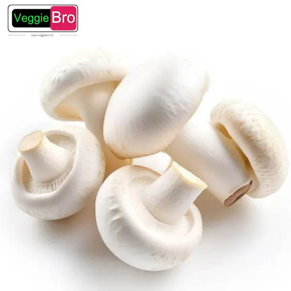 online-Mushroom-कुंभ - Khumb.webp