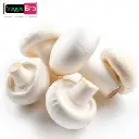 online-Mushroom-कुंभ - Khumb.webp