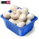 VeggieBro-Mushroom-कुंभ - Khumb.webp