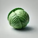 Cabbage (पत्ता गोभी - Patta Gobhi) 