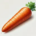 Carrot (गाजर - Gajar)