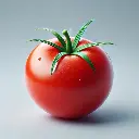 Tomato (टमाटर - Tamatar) 