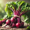 Beetroot (चकुंदर - Chukandar) 