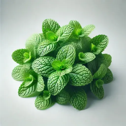 Mint Leaves (पुदीना - Pudina) 